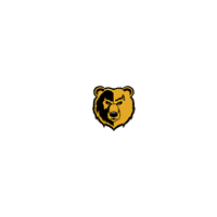 South Oak Cliff High School banner logo